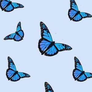 Meet your Posher, Chloe